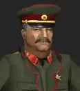 Rogi