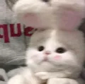 ILLYUZIYA