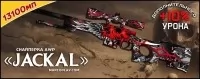 Jackal