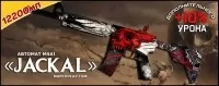 Jackal