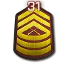 31 уровень