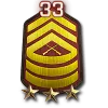 33 уровень